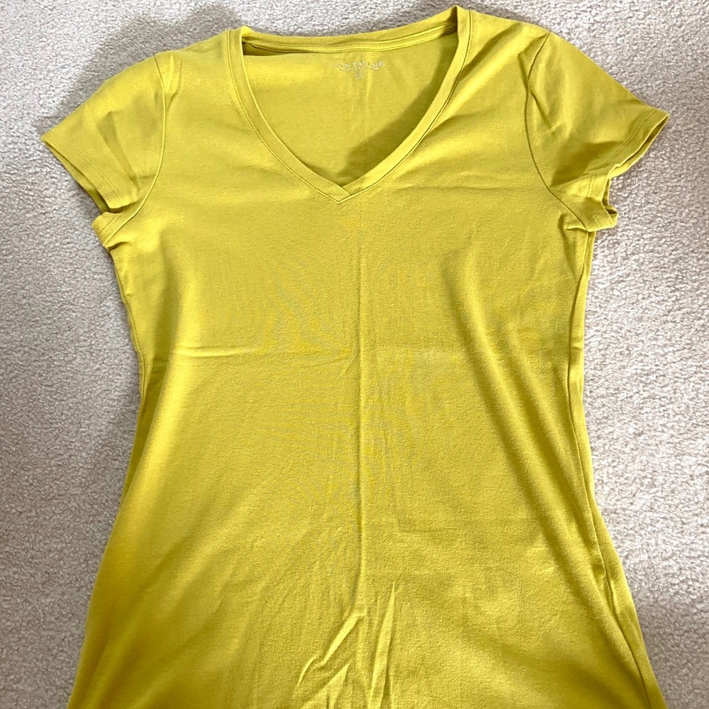 Ann Taylor V-Neck